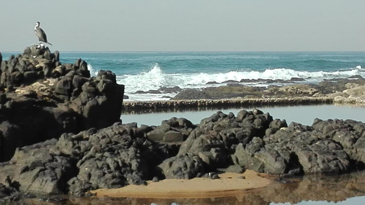 Evergreen Salt Rock Ballito Kültér fotó